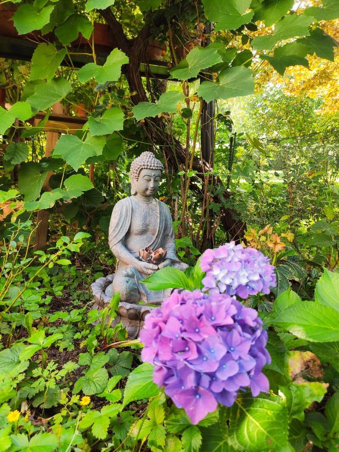 Modernes Zimmer am Park mit Garten, Hühner&Enten Múnich Exterior foto